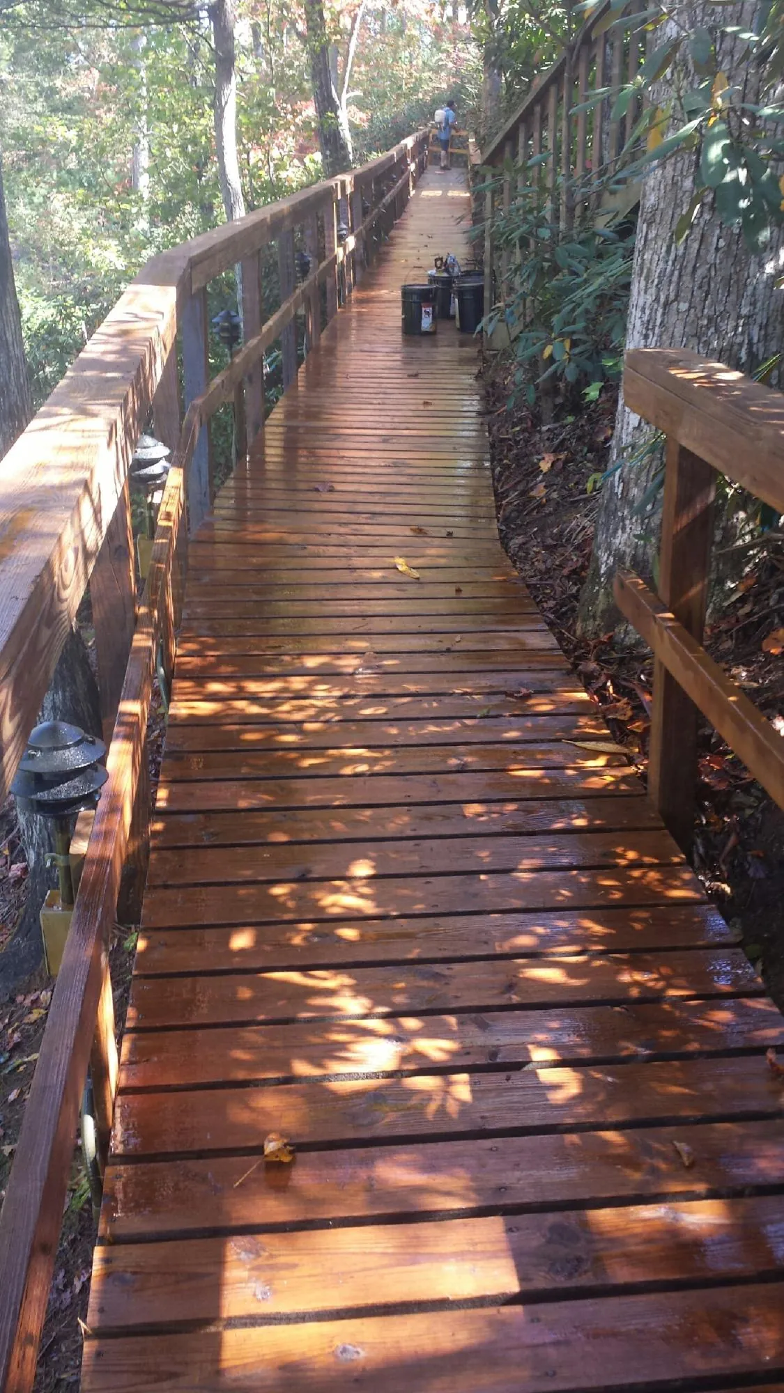 Freshly stained wood walkway winding through the woods in Albin